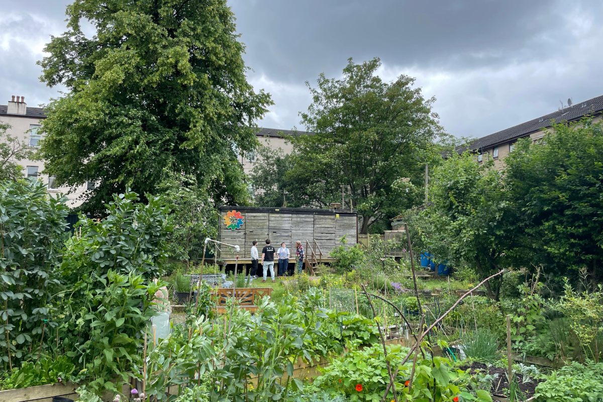Woodlands Development Trust urban community garden.