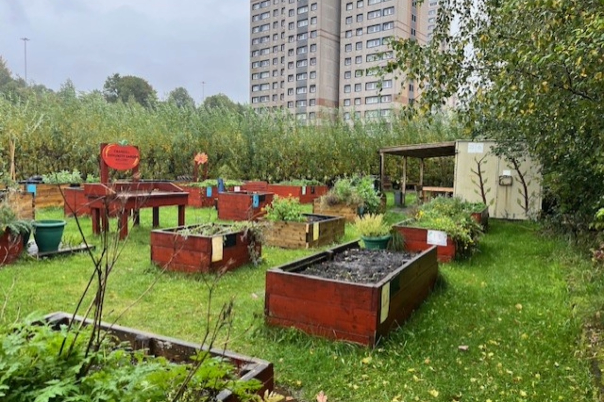 Food growing planters in Cranhill DT Community Garden