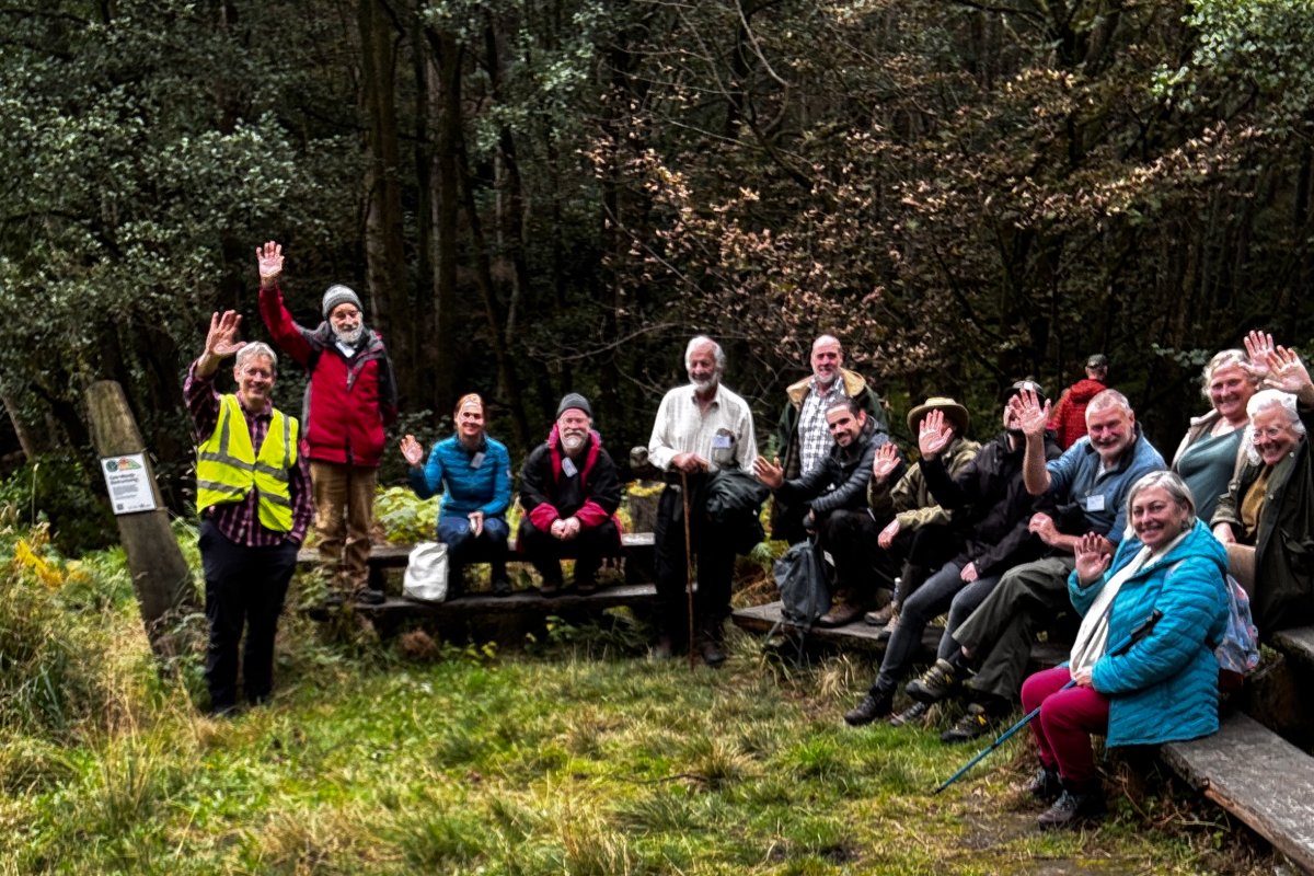 Group community woodland visit